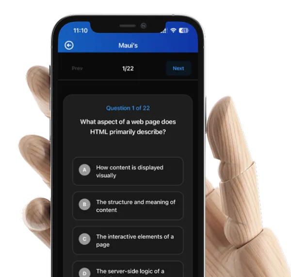 Interactive Practice Mode